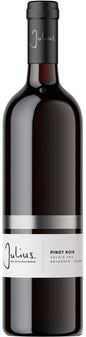 Pinot Noir, Valais AOC, Fam.Pierre-Alain Mathier, Vins et Vignobles Julius SA, Salgesch, 2025, 75cl